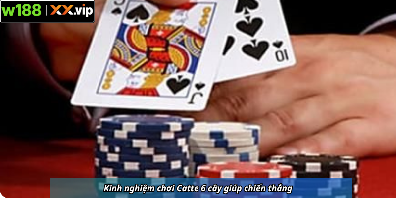 Kinh nghiệm chơi Catte 6 cây giúp chiến thắng